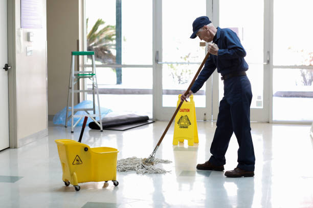 Dust Bunnies to Disinfecting